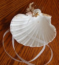 Seashell wedding ring holder